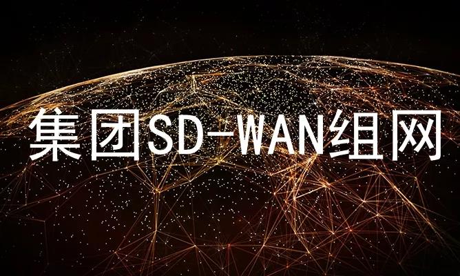 SD-WAN组网